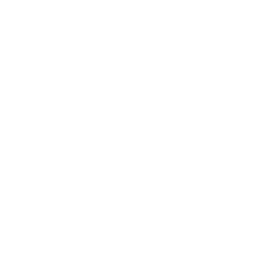 logo arxus